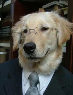 interview.339172930_std